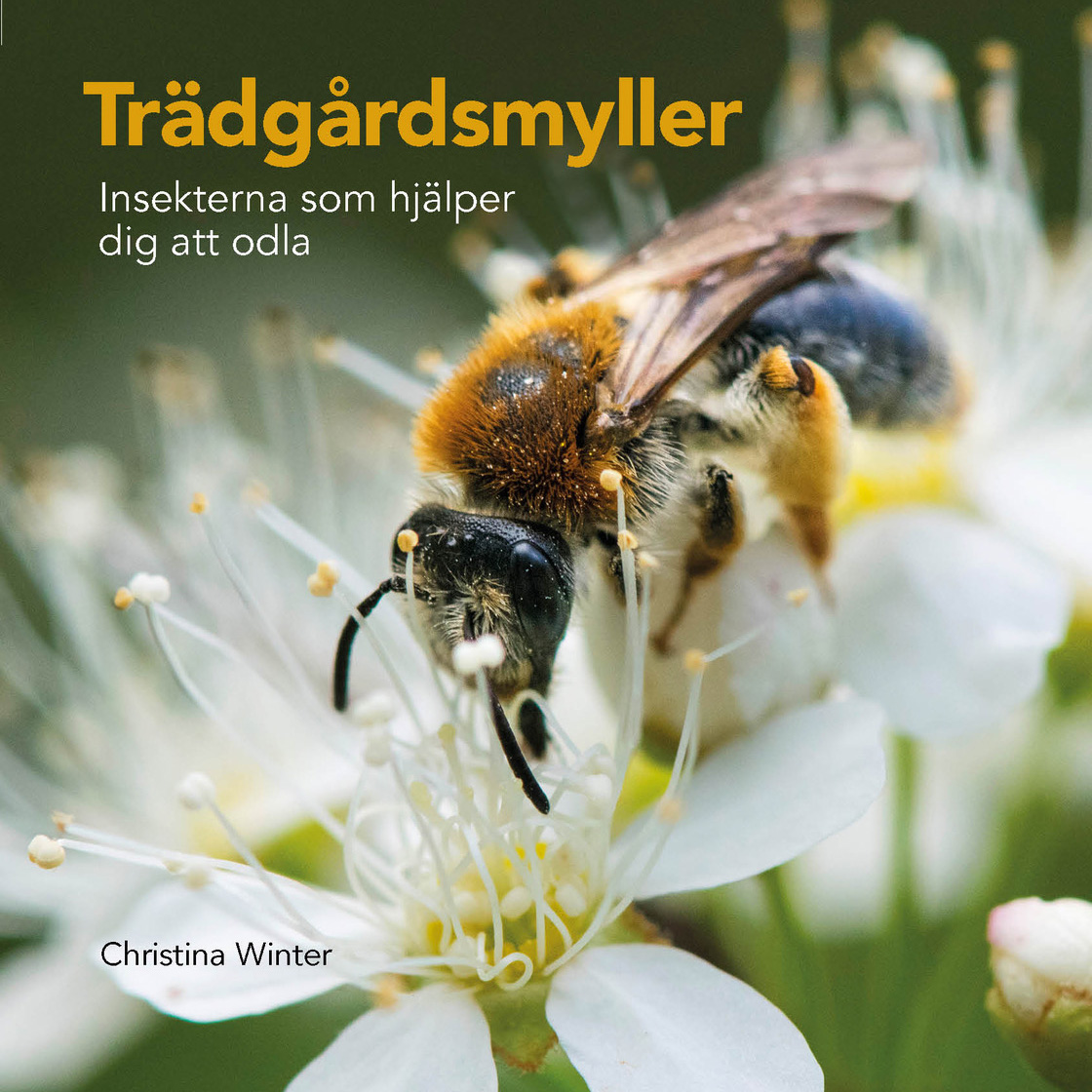 Trädgårdsmyller